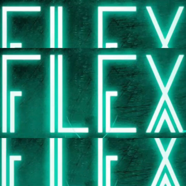 FLEX